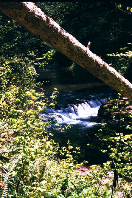 Sliver creek below North falls