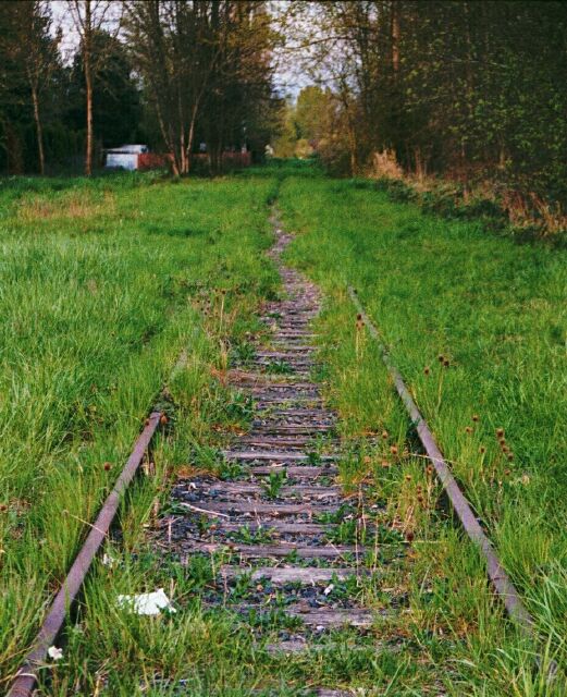 Whitaker St. railroad tracks Silverton, OR